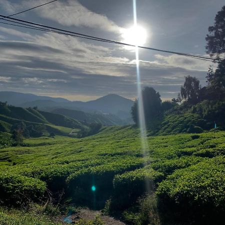 Love Lodge Brinchang, Cameron Highlands Tanah Rata Luaran gambar