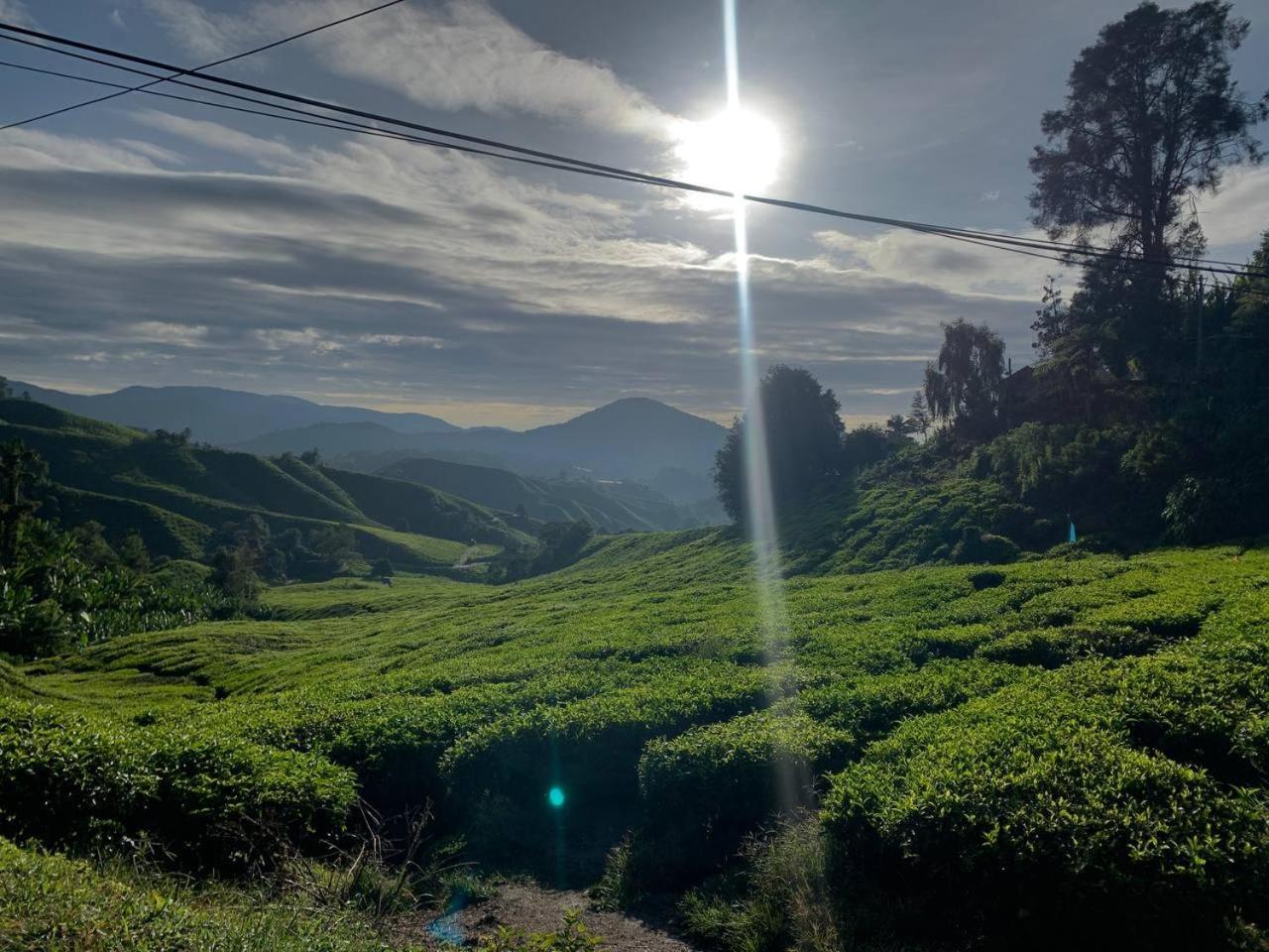 Love Lodge Brinchang, Cameron Highlands Tanah Rata Luaran gambar