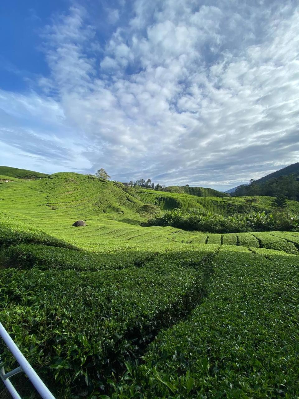 Love Lodge Brinchang, Cameron Highlands Tanah Rata Luaran gambar